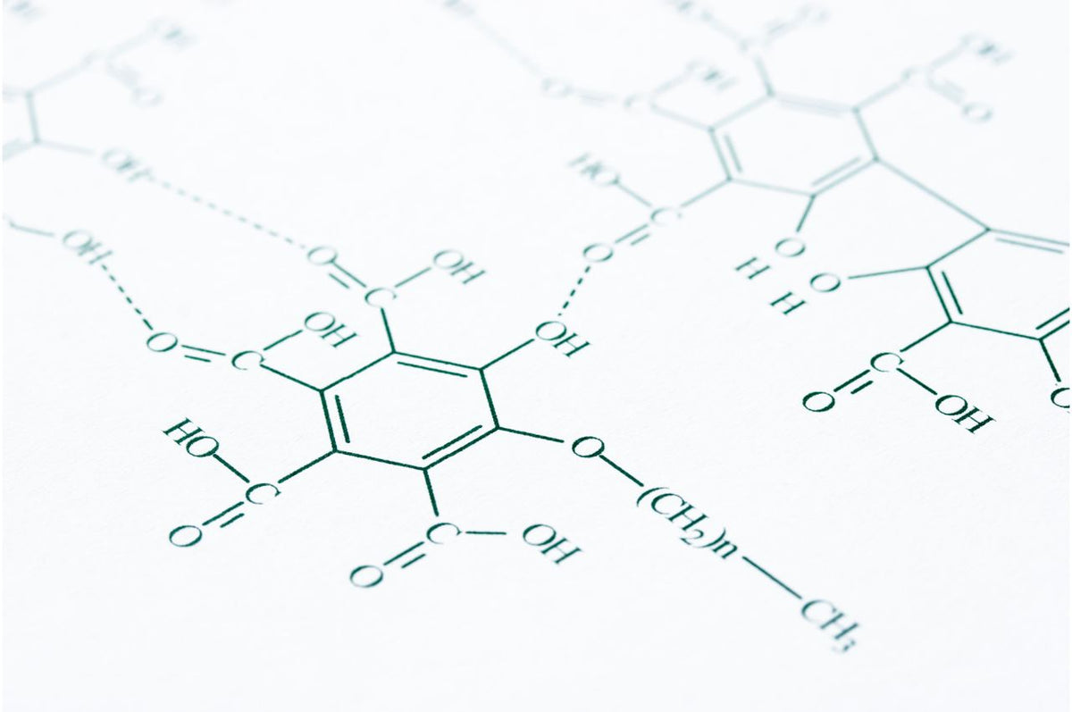 bienfaits de la thymoquinone Image