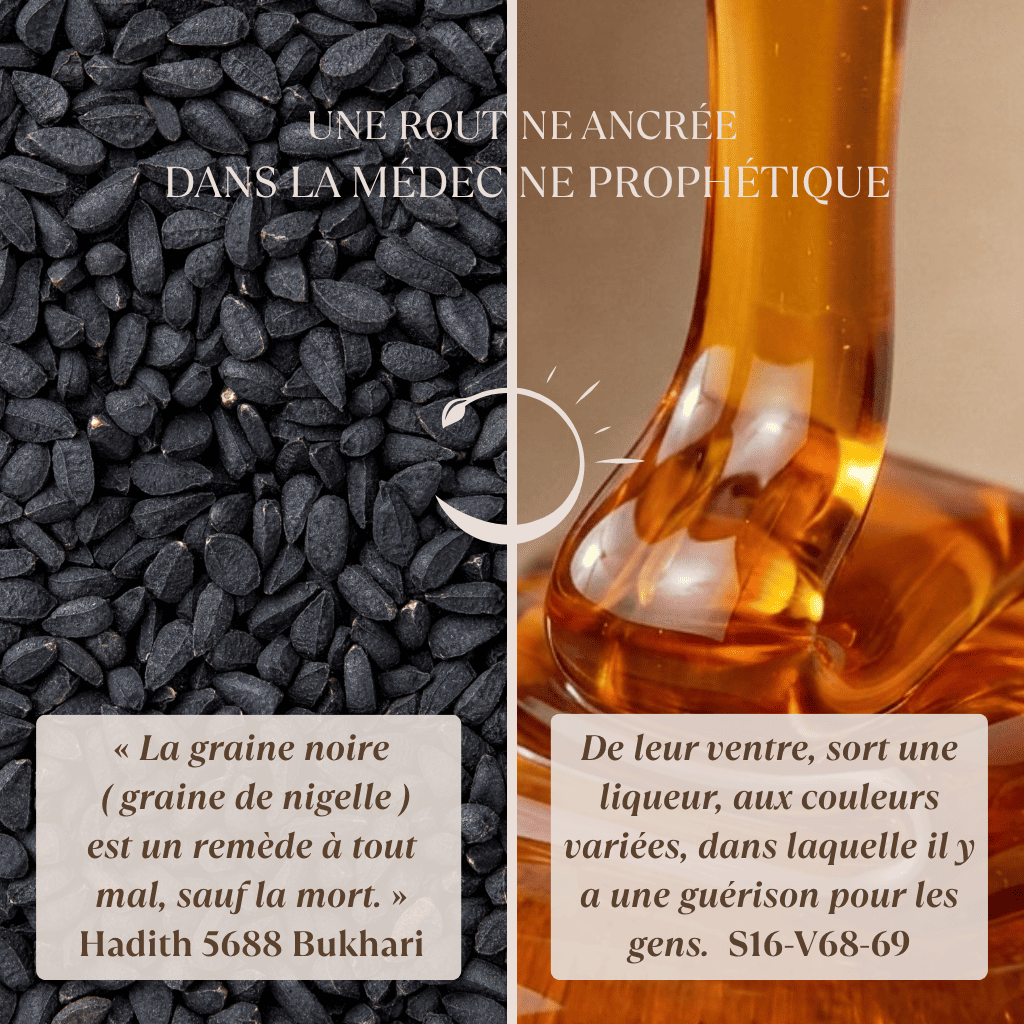 Routine Immunité Sources