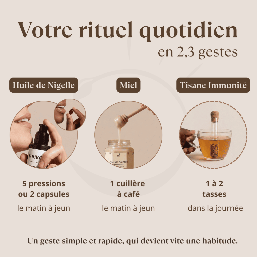 Routine Immunité Sources