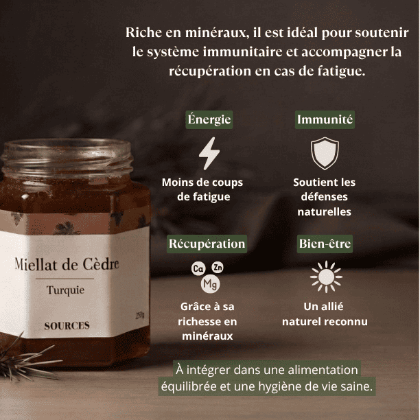 bienfaits_miel_cedre_turquie_miellat
