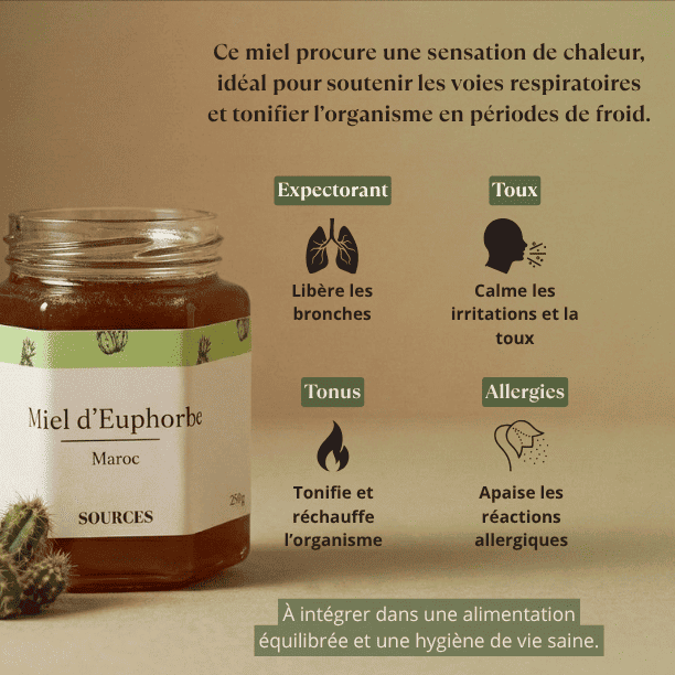 bienfaits_miel_daghmous_euphorbe_maroc