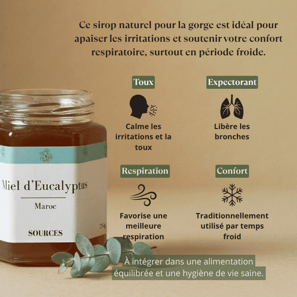 bienfaits_miel_eucalyptus_maroc
