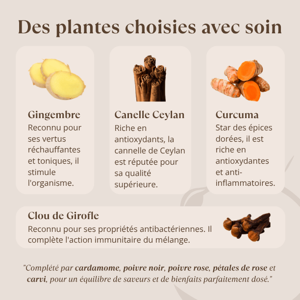 composition_tisane_immunite_sources