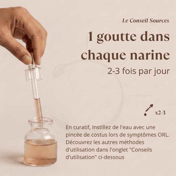 posologie_costus_indien_qust_hindi_sources