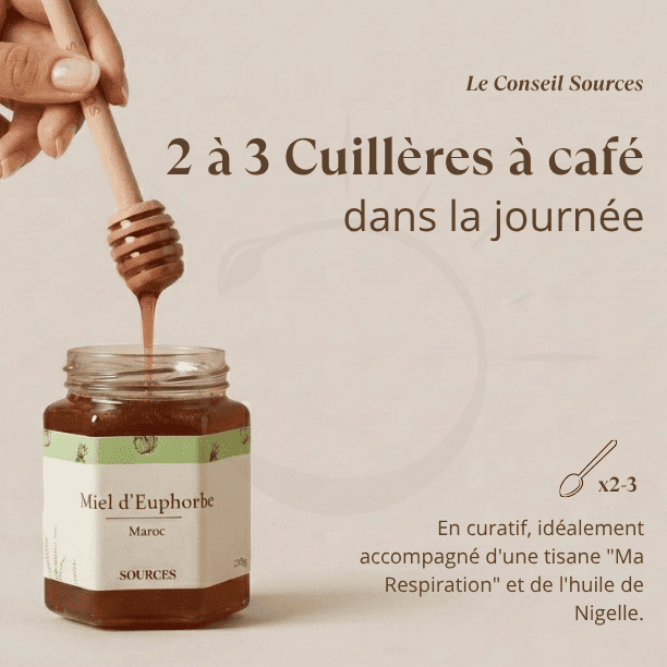 posologie_miel_daghmous_euphorbe_maroc_sources