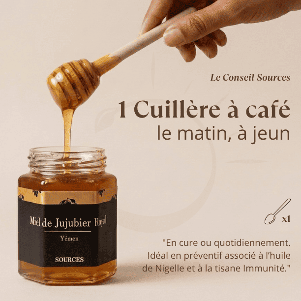 posologie_miel_jujubier_royal_sidr_maliki_yemen_sources