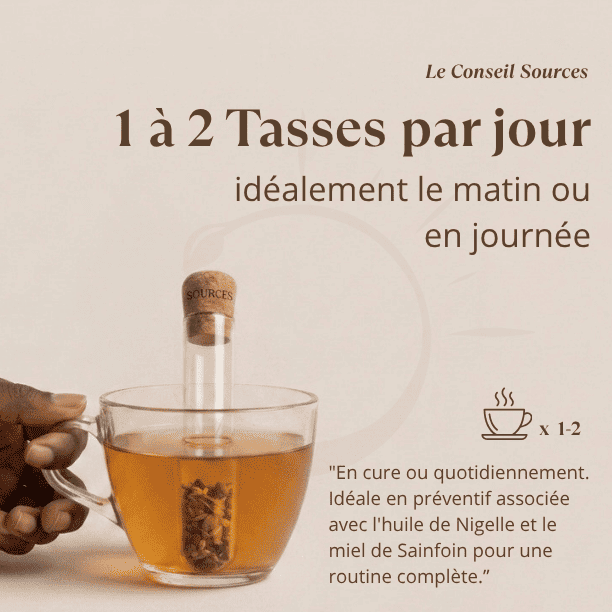 posologie_tisane_immunite