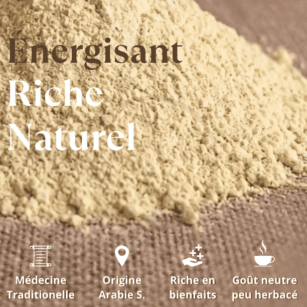 qualite_pollen_palmier
