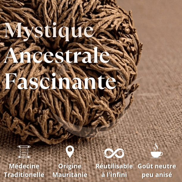 qualite_rose_jericho_chajarat_maryam