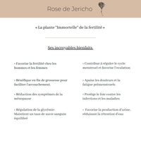 bienfaits de la rose de jericho ( chajarat mariam )