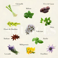 tisane biologique sérénité à base de citronelle-valeriane-badiane-cacao-ortie-basilic-lavande-passiflore-millepertuis-melisse